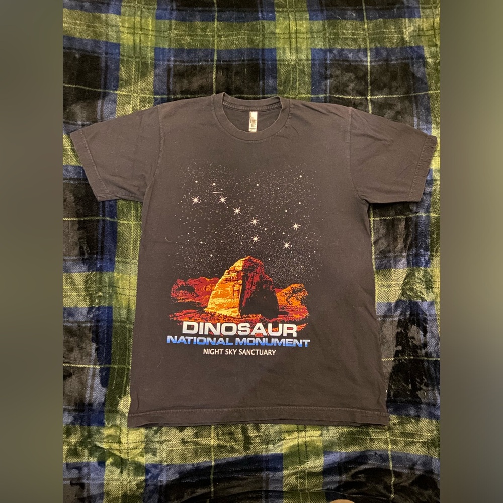 Men’s medium American apparel state park shirt black